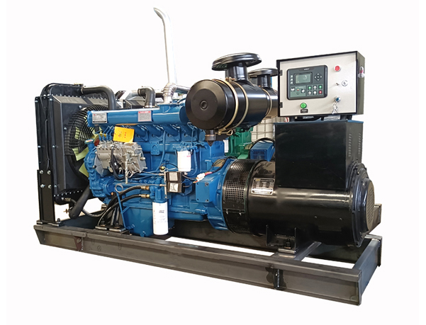 Generator Ricardo 100kW